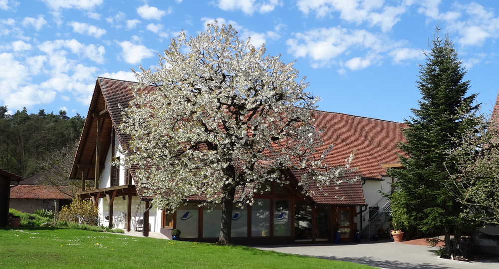 Fürth_Ergotherapie_Handtherapie_Schmerztherapie_Galster